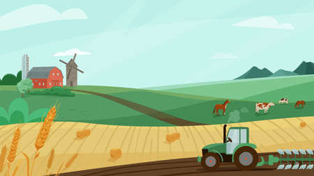 Farm landscape vector illustration with green meadow, wheat field, tractor cultivate earth. Nature summer or autumn scenery with barn, windmill. Countryside for organic production backgroundのイラスト素材