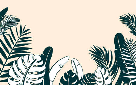 Jungle plant vector border illustration with tropical tree leaves banana, monstera, palm and sunset sky. Tropic landscape background in simple modern flat style with copy space for textのイラスト素材