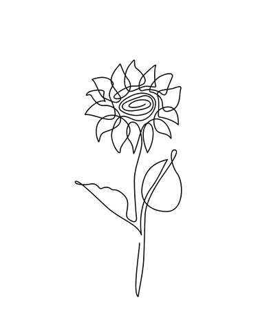 Sunflower flower vector illustration in simple minimal continuous outline line style. Nature blossom art for floral botanical design. Isolated on white backgroundのイラスト素材