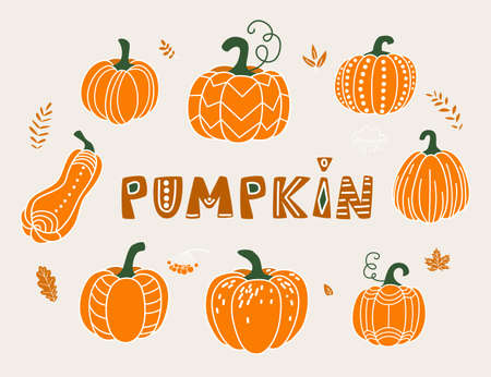 Pumpkin vector illustration in flat naive simple modern style. Autumn decorative gourd for thanksgiving, halloween, harvest design isolated on white backgroundのイラスト素材