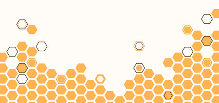 Beehive honeycomb banner vector illustration. Bee honey shapes texture. Honeycomb with beeswax frame in simple modern flat styleのイラスト素材