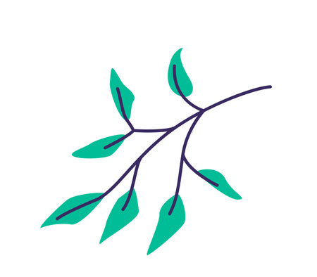 Leaf plant vector illustration. Herb element isolated on white backgroundのイラスト素材