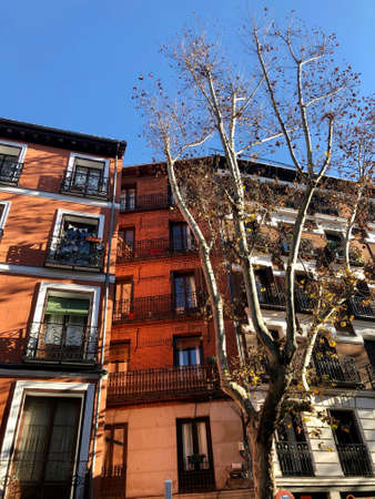 Madrid, Spain - January 5, 2019: Street and buildings in la Latina district in Madridのeditorial素材