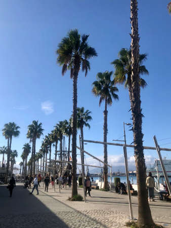 Malaga, Spain - December 29, 2019: La Malagueta, the beach in Malagaのeditorial素材