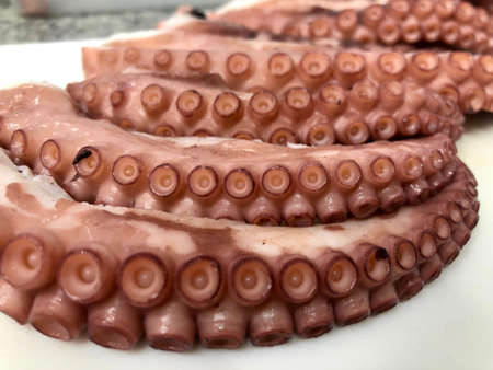 Delicious fresh large cooked octopus tentacles ready to eatの写真素材