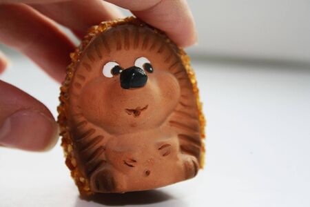 Toy Hedgehog on a white backgroundの写真素材