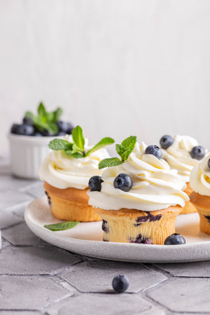 Lemon tartlets with whipped cream and fresh blueberries, selective focus.の写真素材