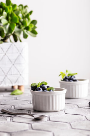 Fresh blueberries in white ceramic bowls on a gray background. Selective focus.の写真素材