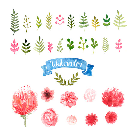 Watercolor flowers, laurels and leaves, vector floral collection, rose, piones, pink and red colors. Watercolor floral illustration isolated on whiteのイラスト素材