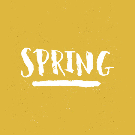 Vector handdrawn lettering Spring on yellow background with grunge textureのイラスト素材
