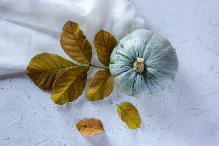 white pumpkin on white backgroundの写真素材