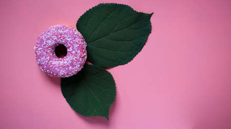 pink donut with green leaves on pink backgroundの写真素材