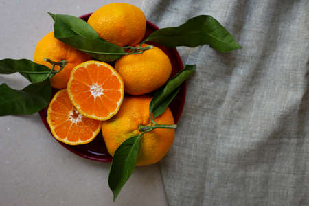 bright and juicy tangerines from turkeyの写真素材