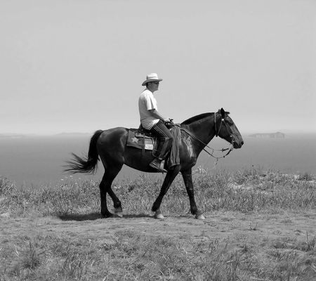 Travellerの写真素材