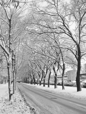 Winter roadの写真素材