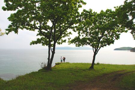 Old big trees and two personsの写真素材