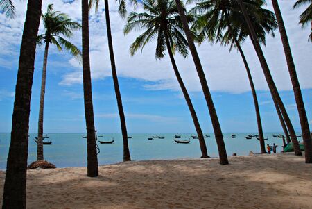 Beach with palms, vietnamese siestaの写真素材