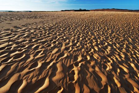 Sand dunes, desert
