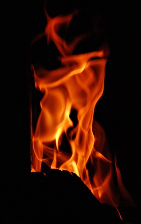 Fireの写真素材