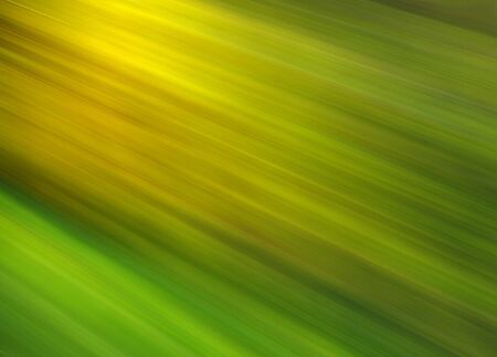 Green shine - abstract background         の写真素材