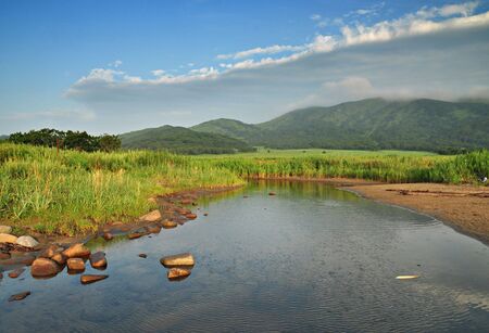 Summer meadow, callow, wild landscape, Far Eastern maritime preserve, Primorye, Russiaの写真素材