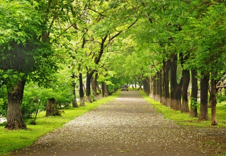 Green park, parkway