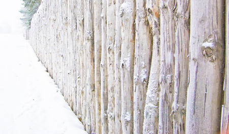 background of wooden planks in the winter, natural wood textureの写真素材