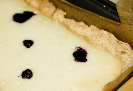 cheesecake with cream cheese, cottage cheese cake with berries and currantsの写真素材