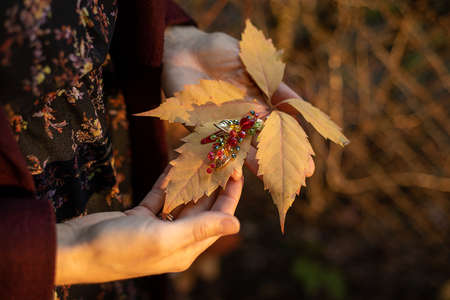 In women's hands is an autumn yellow leaf of autumn and a hair accessory made of glass beads. The concept of autumn. Close-up photoの写真素材