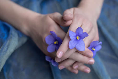 Overhead view of purple violets in girl's hand with manicure isolated on purple background. Flat lay, top view. Photoの写真素材