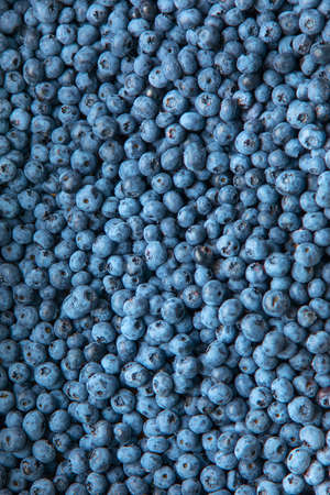 Freshly picked blueberries. close-up photo. Healthy diet. Diet. Nutrients, vitamins all year round. Summertimeの写真素材