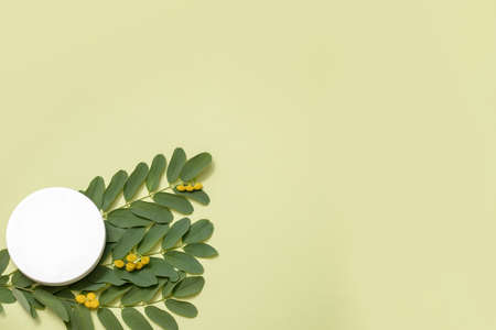 White plastic container with an empty space for text on a delicate green background with twig green leaves. The concept of natural cosmetics, skin care. Copy space. Mockup. Close-up photoの写真素材