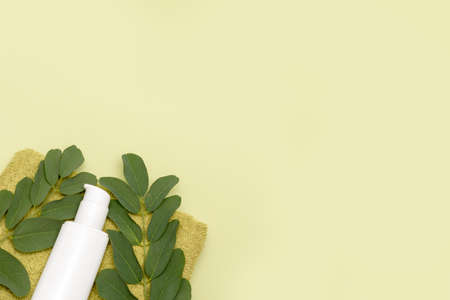 Cosmetic bottle containers with green herbal leaves, Blank label for branding mock-up, Natural beauty product concept. delicate green background. Top viewの写真素材