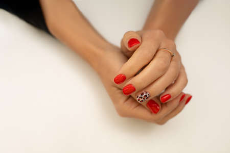 Leopard and tiger art patch nail lacquer. Fashionable nail polish with animal print stickers. Professional manicure and nail tattoo. Woman hands with gold ring on white table. Photoの写真素材