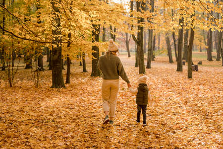 Young mother with her son enjoying a beautiful autumn day and a walk in the park. Golden yellow foliage holding hands. Photo in full growth, view from the backの写真素材