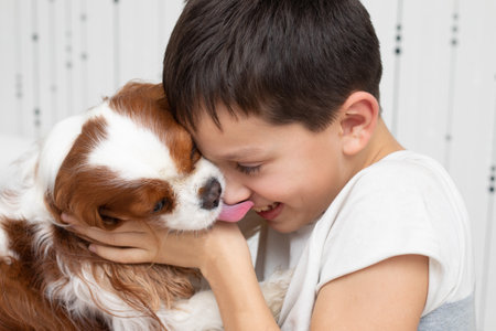 Dog Cavalier King Charles Spaniel licking his owner. Happy boy laughing while playing with his pet. Close-up photoの写真素材