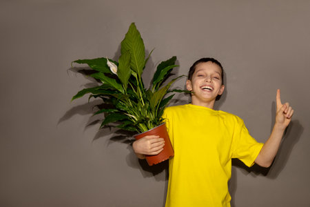 Teenage boy volunteering with garden work at school or home. Studio portrait of handsome young man pointing excitedly to copyspace against gray background with domestic flower in handの写真素材