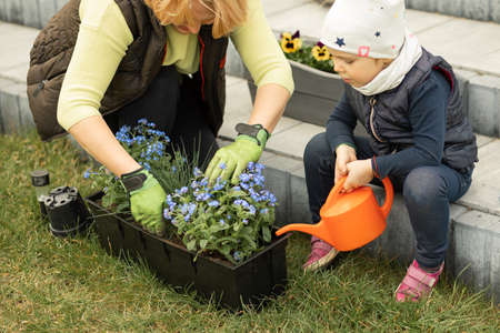 Mom and daughter spending time together in front or backyard of house, planting flowers, girl...