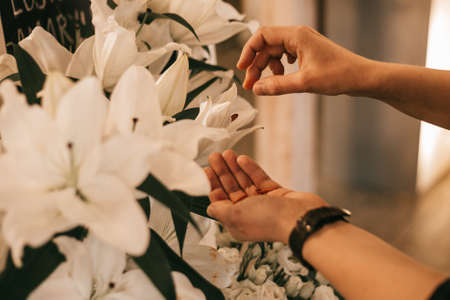 Female hands taking care white lily. Florist work. Hobby and small business conceptの写真素材