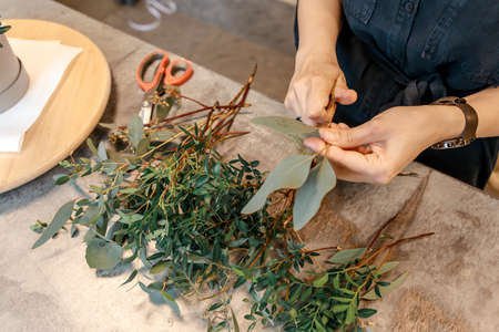Woman hands are cutting plants, preparing them to create flower arrangement in box. Flower gift conceptの写真素材