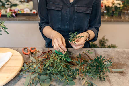 Woman hands are cutting green plants, preparing them to create flower arrangement in box. Flowers box gift concept.の写真素材