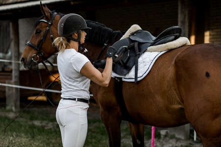 Young woman is going for ride on summer evening. She is dressed in sports clothes for horse ride.Concept of proper lifestyle. Sports and health.の写真素材