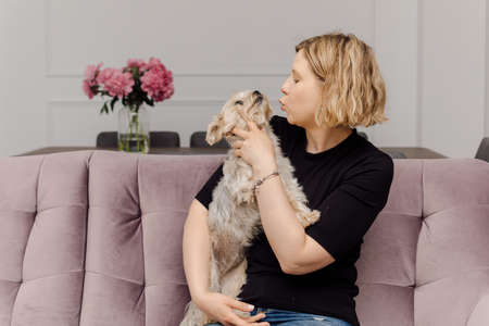 Young owner hugs and kisses her pet Yorkshire Terrier. Young woman and pet have same color hair. Beauty and health. Grooming for dogs. Care and breeding.Lifestyle.の写真素材