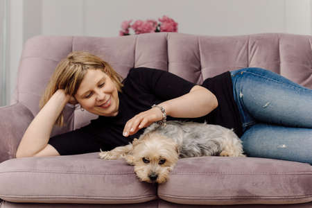 Smiling young woman is lying on pink sofa in living room, petting Yorkshire Terrier. Concept of home life. Rest and relaxation. Positive emotions. Lifestyle.の写真素材