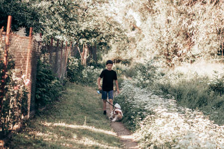 Teenage boy walks with dog on leash along meadow with flower in countrysideの写真素材