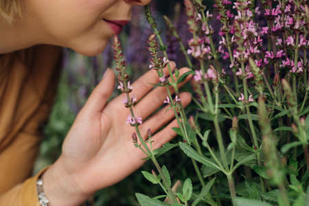 Get pleasure from aromas of flowers. City life. Aromatherapy. Floristry. Beauty is in nature. Medicinal herbs. Get pleasure from life. Lifestyle.の写真素材