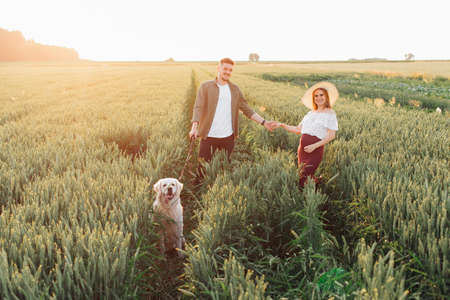 Young man holds hand of his pregnant wife during evening walk in nature with their white Labrador. Pregnant woman. Family and pregnancy. Love and tenderness. Happiness and serenity.の写真素材