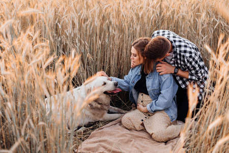 Beautiful young pregnant couple with their dog is happily spending time in nature among wheat fields. Family and pregnancy. Love and tenderness. Happiness and serenity. Taking care of a new life.の写真素材