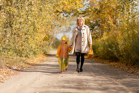 Photo of young woman walks with little girl, daughter, 5 years old holding hand on road among trees, yellow leaves autumnの写真素材