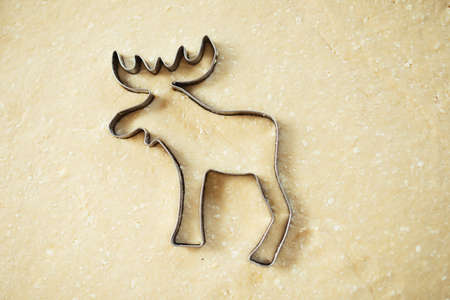 mold for cutting cookies in shape of animal elk lies on rolled dough. Cookies. concept of baking at home, handmade.の写真素材
